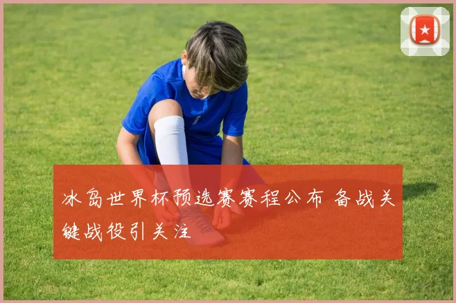 冰岛世界杯预选赛赛程公布 备战关键战役引关注