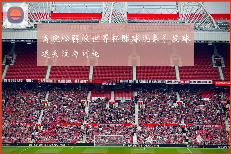 高晓松解读世界杯赌球现象引发球迷关注与讨论