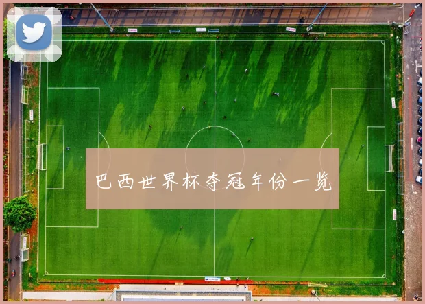 巴西世界杯夺冠年份一览