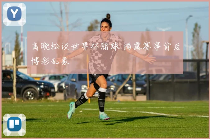 高晓松谈世界杯赌球 揭露赛事背后博彩乱象